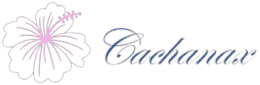 Cachanax